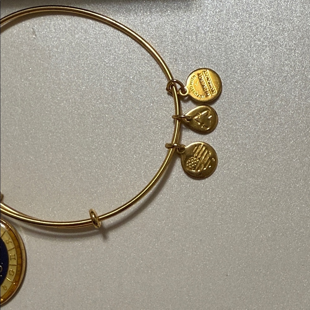 Alex and Ani Gold Leo Constellation Charm Bracelet - Picture 7 of 12